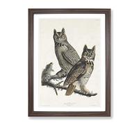 Great Horned Owls By John James Audubon Vintage Framed Print | A4 Walnut Framed Wall Art | Ready to Hang | Classic Animal Picture | Living Room Bedroom Lounge Office