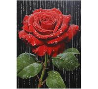 Great Jigsaw Puzzles for Adults Red Rose with Leaves and Rain Drops On Black Puzzles for Adults Toys Gift Family Decoration Puzzles_1000pcs