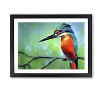 Great Kingfisher Bird Framed Print | A3 Black Framed Wall Art | Ready to Hang | Modern Nature Picture | Living Room Bedroom Lounge Office