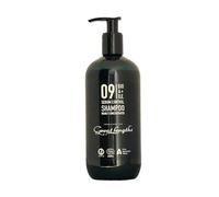 Great Lengths Bio AOE 09 Sebum Control Shampoo 500ml