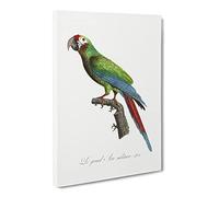 Great Military Macaw Parrot By F. Levaillant Canvas Print | Gallery Wrapped 30mm Frame Wall Art | 20x14 inches | Ready to Hang | Retro Animals Picture | Living Room Bedroom Lounge Office