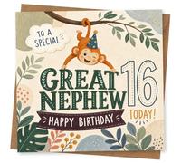 Great Nephew 16th Birthday Card - Special Birthday Greeting Card with Cute Monkey Design and 'To a Special Great Nephew' Message