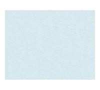 Great Papers! Blue Faux-Parchment Certificate, 8.5" x 11", 50 Count (2014028)