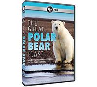 GREAT POLAR BEAR FEAST