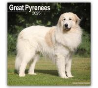 Great Pyrenees 2025 Square Wall Calendar | Dog Breed Calendar