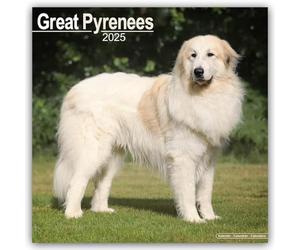 Great Pyrenees 2025 Square Wall Calendar | Dog Breed Calendar