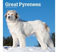 Great Pyrenees 2027 12 X 24 Inch (Hanging) Monthly Square Wall Calendar Plastic-Free: Original BrownTrout-Kalender [Mehrsprachig] [Kalender]