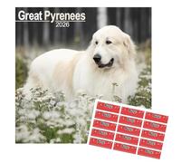 Great Pyrenees Calendar 2026 | 16 months | with FREE Organisational Stickers