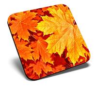 Great Single Coaster Square - Autumn Leaves Orange Leaf |Glossy Quality Coasters | Tabletop Protection for Any Table Type #44182