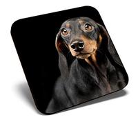 Great Single Coaster Square - Black & Tan Dachshund Puppy Dog |Glossy Quality Coasters | Tabletop Protection for Any Table Type #21438