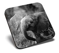 Great Single Coaster Square BW - Baby Elephant Wild Animal |Glossy Quality Coasters | Tabletop Protection for Any Table Type #35670