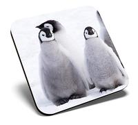Great Single Coaster Square - Five Emperor Penguin Chicks Antarctica |Glossy Quality Coasters | Tabletop Protection for Any Table Type #45027
