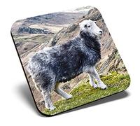 Great Single Coaster Square - Herdwick Sheep Mountain |Glossy Quality Coasters | Tabletop Protection for Any Table Type #12563