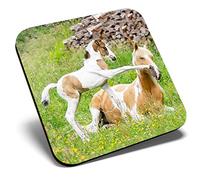 Great Single Coaster Square - Horse & Foal Horses Playing |Glossy Quality Coasters | Tabletop Protection for Any Table Type #3946