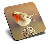 Great Single Coaster Square - Robin Redbreast Bird Animals Birds |Glossy Quality Coasters | Tabletop Protection for Any Table Type #8701