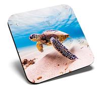 Great Single Coaster Square - Swimming Turtle Sea Creature |Glossy Quality Coasters | Tabletop Protection for Any Table Type #8503