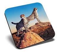 Great Single Coaster Square - Wild Cheetah Africa Big Cat Animal |Glossy Quality Coasters | Tabletop Protection for Any Table Type #8103