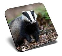Great Single Coaster Square - Wild Native European Badger Animal |Glossy Quality Coasters | Tabletop Protection for Any Table Type #46437