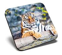 Great Single Coaster Square - Wild Tiger Big Cat Jungle |Glossy Quality Coasters | Tabletop Protection for Any Table Type #46444