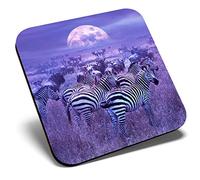 Great Single Coaster Square - Wild Zebra Herd Africa Safari Animals |Glossy Quality Coasters | Tabletop Protection for Any Table Type #24464