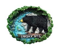 Great Smoky Mountains National Park Tennessee USA 3D Fridge Magnet Souvenir Gift,Home & Kitchen Decoration sticker Tennessee America refrigerator magnet