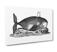 Great Whale In Black & White By George Shaw Canvas Print | Gallery Wrapped 30mm Frame Wall Art | 24x16 inches | Ready to Hang | Retro Animals Picture | Living Room Bedroom Lounge Office
