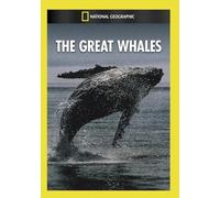 Great Whales [DVD] [Region 1] [US Import] [NTSC]