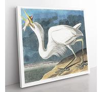 Great White Heron by John James Audubon Vintage Canvas Wall Art Print Ready to Hang, Framed Picture for Living Room Bedroom Home Office Décor, 35x35 cm (14x14 Inch)