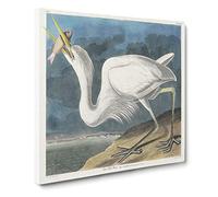 Great White Heron by John James Audubon Vintage Canvas Wall Art Print Ready to Hang, Framed Picture for Living Room Bedroom Home Office Décor, 14x14 Inch (35x35 cm)