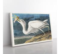 Great White Heron By John James Audubon Vintage Canvas Wall Art Print Ready to Hang, Framed Picture for Living Room Bedroom Home Office Décor, 50x35 cm (20x14 Inch)