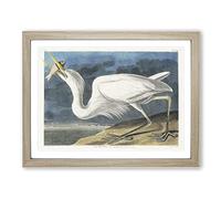 Great White Heron By John James Audubon Vintage Framed Print | A2 Oak Framed Wall Art | Ready to Hang | Classic Animal Picture | Living Room Bedroom Lounge Office