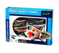 Kosmos Anatomy Model Great White Shark 261110 – 20 Parts, Stand & Illustrated Guide