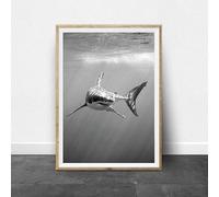Great White Shark Black White Posters And Prints Monochrome Nature Wall Art Canvas Painting Pictures For Living Room Home Decor A1 60X90Cm Unframed