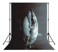 Great White Shark Print Photo Studio Background 5x7ft Soft Photo Backdrop Curtain For Studio Content Creator Equipment