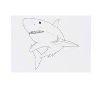 'Great White Shark' Temporary Tattoo - Water Resistant, Skin-Safe, Non-Toxic Transfer (TO00085109)