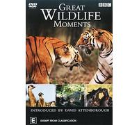 Great Wildlife Moments [Introduced by David Attenborough] [NON-UK Format / Region 4 Import - Australia]