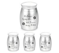 Gredstar Small Urns for Ashes, Set of 4 Mini Cremation Containers for Pet and Human Ashes, Memorial Gifts for Loved Ones (Silve, No longer by my side)