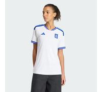 Greece 26 Home Jersey