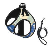 Greece Map Print Pet Leash Vest,Breathable Mesh Pet Harness, Reflective For Small Medium Dogs Safe Easy Walking