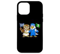 Greece Nigeria Flag Greek Nigerian Roots Greek Nigerian Case for iPhone 12 mini