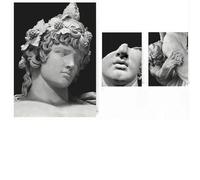 Greek Mythology Body Sculpture Poster Ancient Greek History Prints Canvas Painting Wall Art Pictures Home Living Room Decoration 50x70cmx3 No Frame