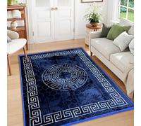 Greek Vibe Rug Soft Durable Area Carpet for Living Room Bedroom Dining Room Hallway Office Floral Design Indoor Floor Mat Home Decor Modern Style 160x230cm