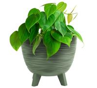 (Green, 23.6cm Width) Bowl Planter Plant Pot Legs Oval Flower Modern Decorative FURU Indoor 4 Colours