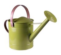 Green 4.5L Metal Watering Can with Detachable Sprinkler Nozzle & Pink Handle - Colourful Indoor Outdoor Home Garden Water Bucket Tool for Plants, Houseplant, Flowers, Lawn - H30 x W20 x D43cm