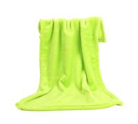 (Green, 70x100cm) Coral Fleece Blankets Super Soft Shaggy Universal Solid-color Fleece Blankets For Sofa