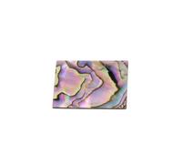 Green Abalone (Paua Shell) Blank 1" x 1-1/2" x .050" Allparts LT-1470-081