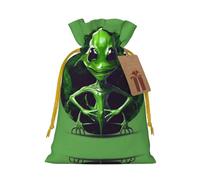 Green Alien Print Drawstring Gift Bags,For Holiday Season,Birthdays,Anniversaries And Any Special Occasion