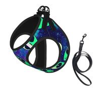 Green Aliens Print Dog Harness Reflective Pet Vest Harness Puppy Harnesses Leash Set,For Walking Training