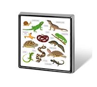 Green and Brown Pet Reptiles Frog Iguana Lizard Snake Newt Turtle Square Badge Smooth Surface Lapel Tie Pin, Lightweight Badge for Women Men Office Worker Nurse Teacher Student Shirts Backpack
