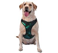 Green And Teal Phoenix No Pull Dog Harness Adjustable Reflective Oxford Easy Control Medium Large Dog Harness